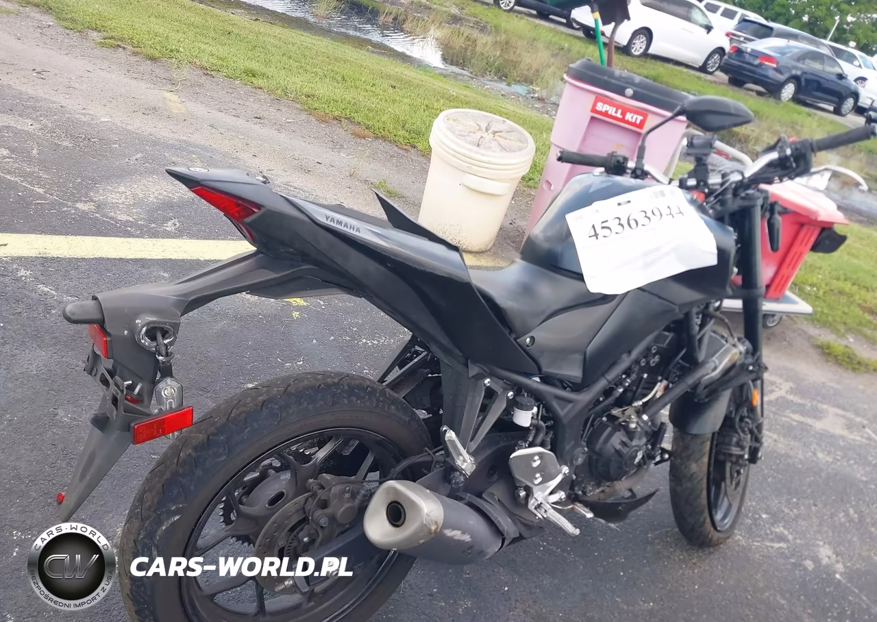 2022 Yamaha Mt-03 VIN:MH3RH20Y6NK008439 - 12