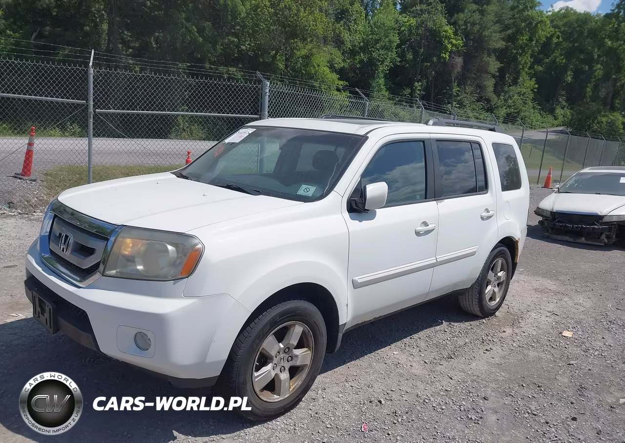 2009 Honda Pilot Ex-L VIN:5FNYF48549B055686 - 2