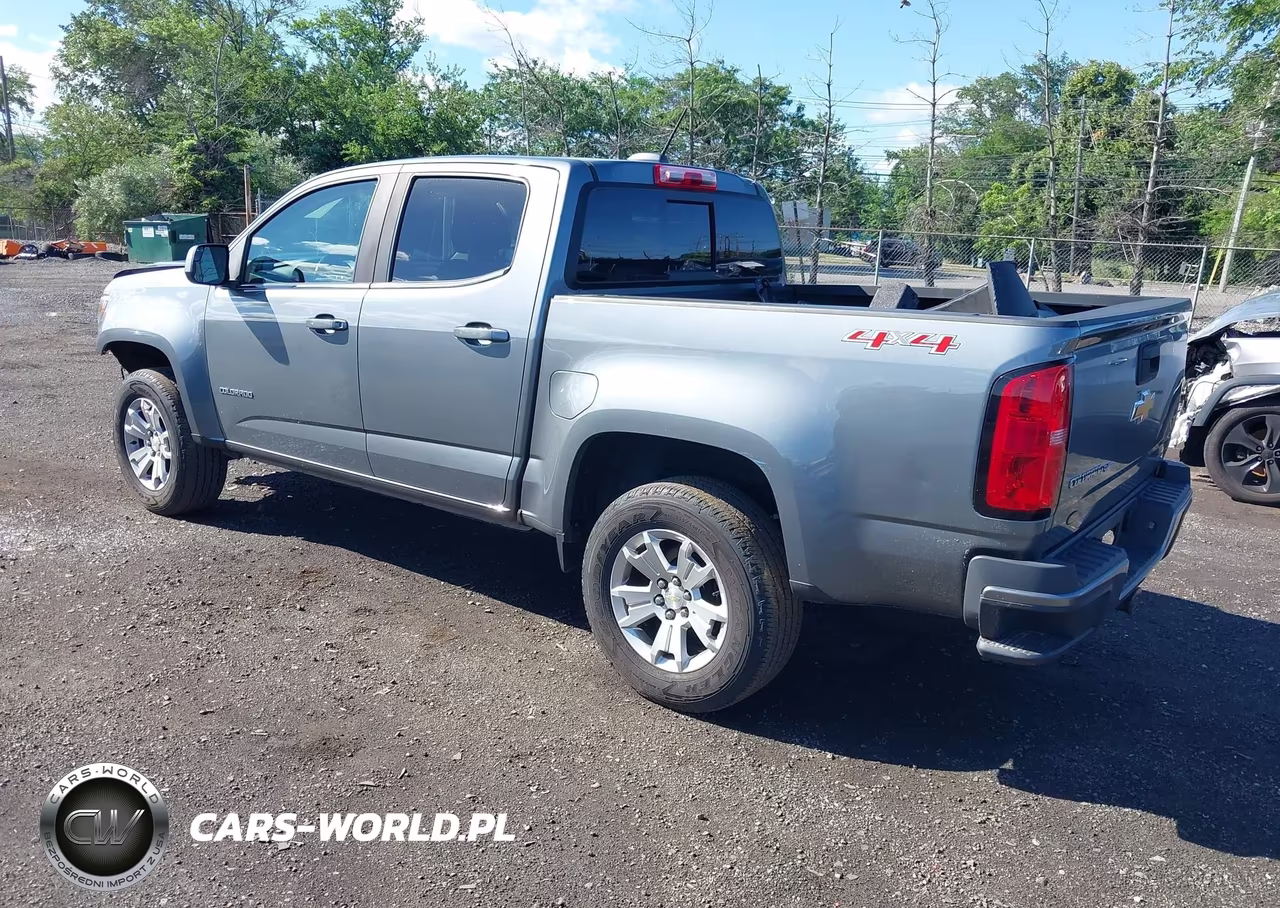 2019 Chevrolet Colorado Lt VIN:1GCGTCEN2K1255788 - 3