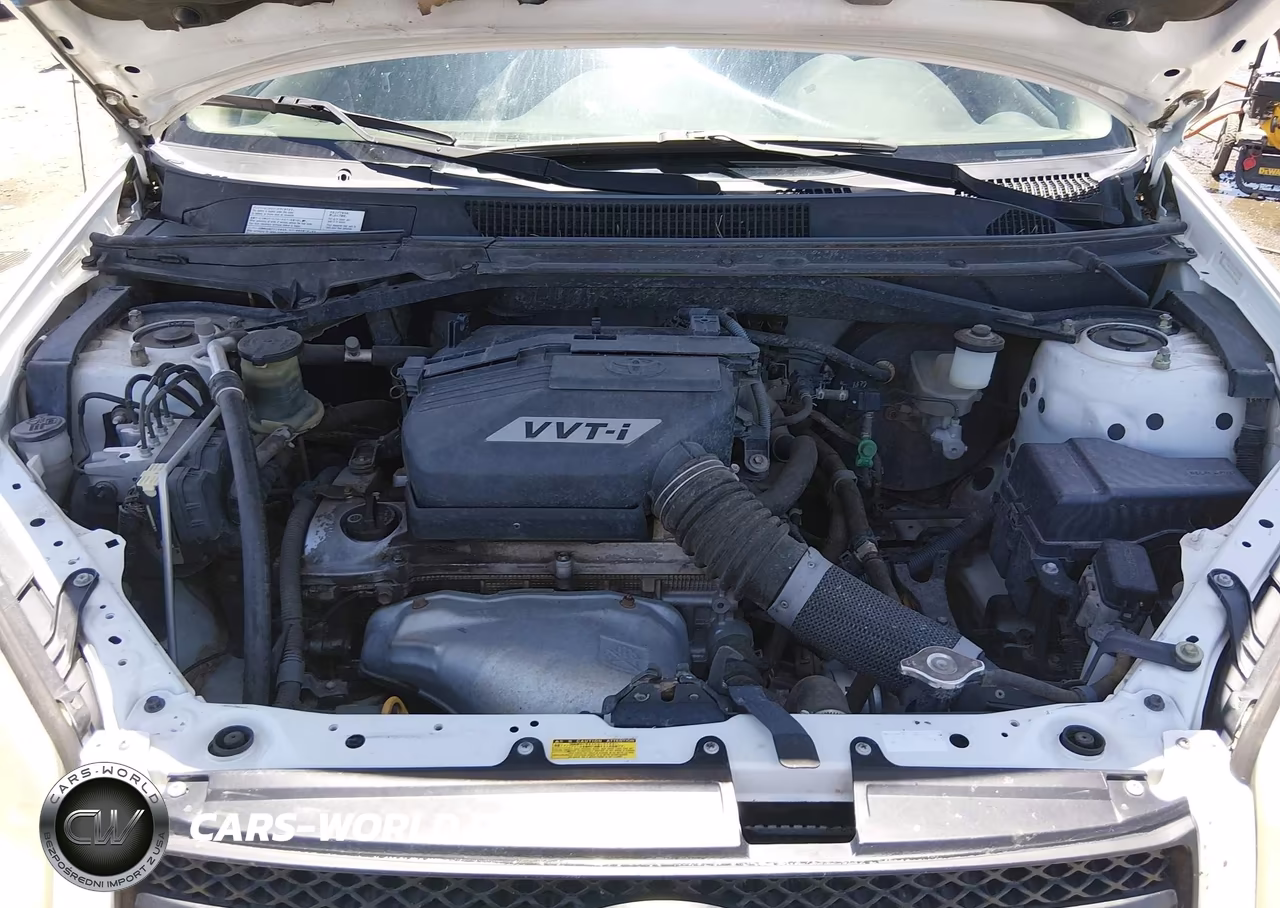 2004 Toyota Rav4 VIN:JTEHD20V546021228 - 10