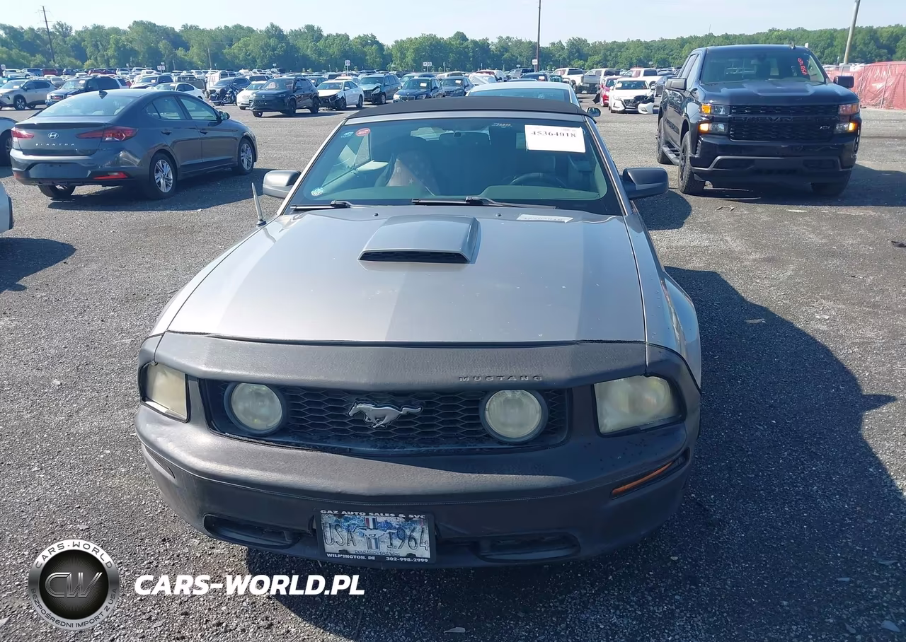 2008 Ford Mustang Gt Deluxe-Gt Premium VIN:1ZVHT85H385170971 - 12