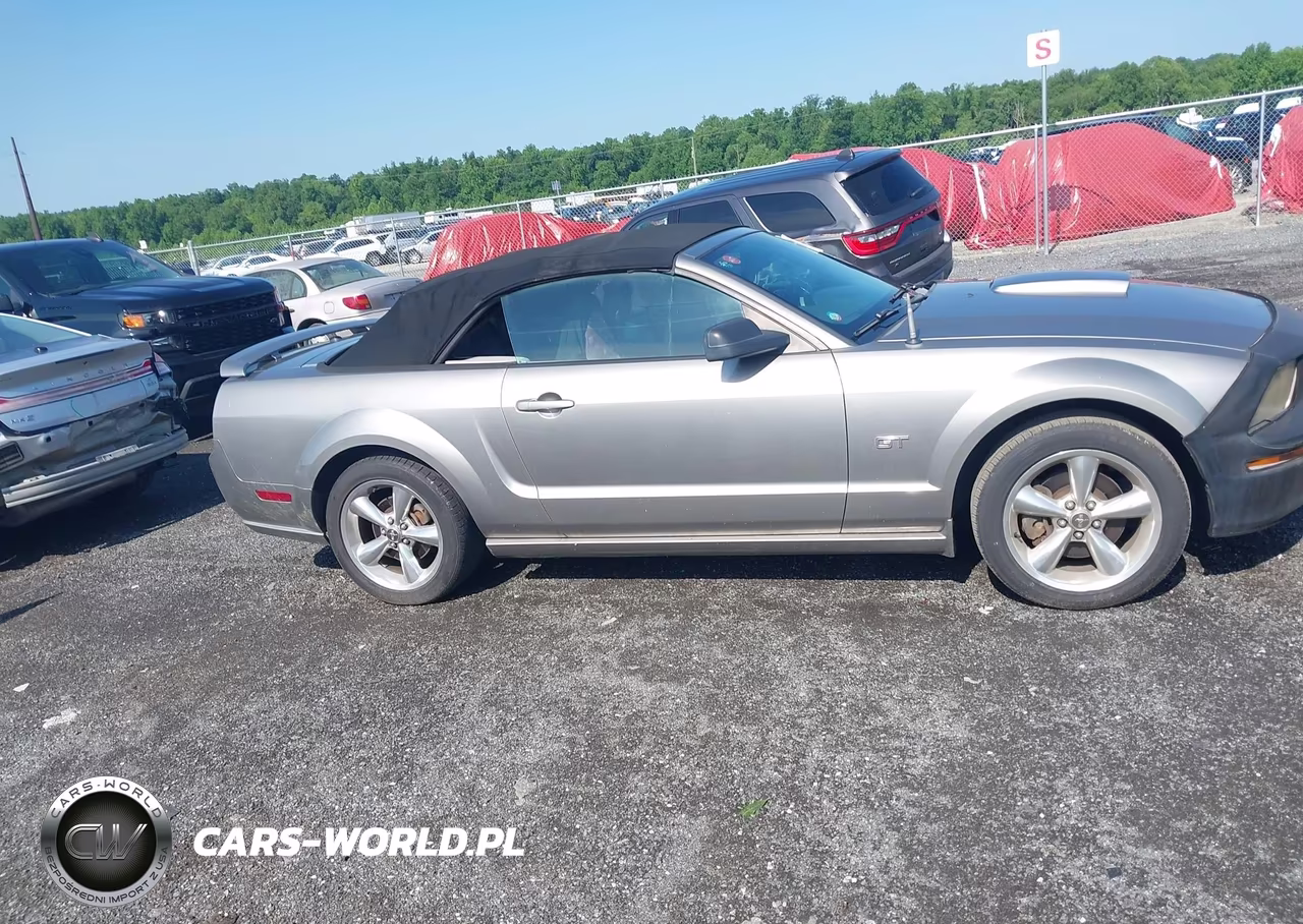 2008 Ford Mustang Gt Deluxe-Gt Premium VIN:1ZVHT85H385170971 - 13