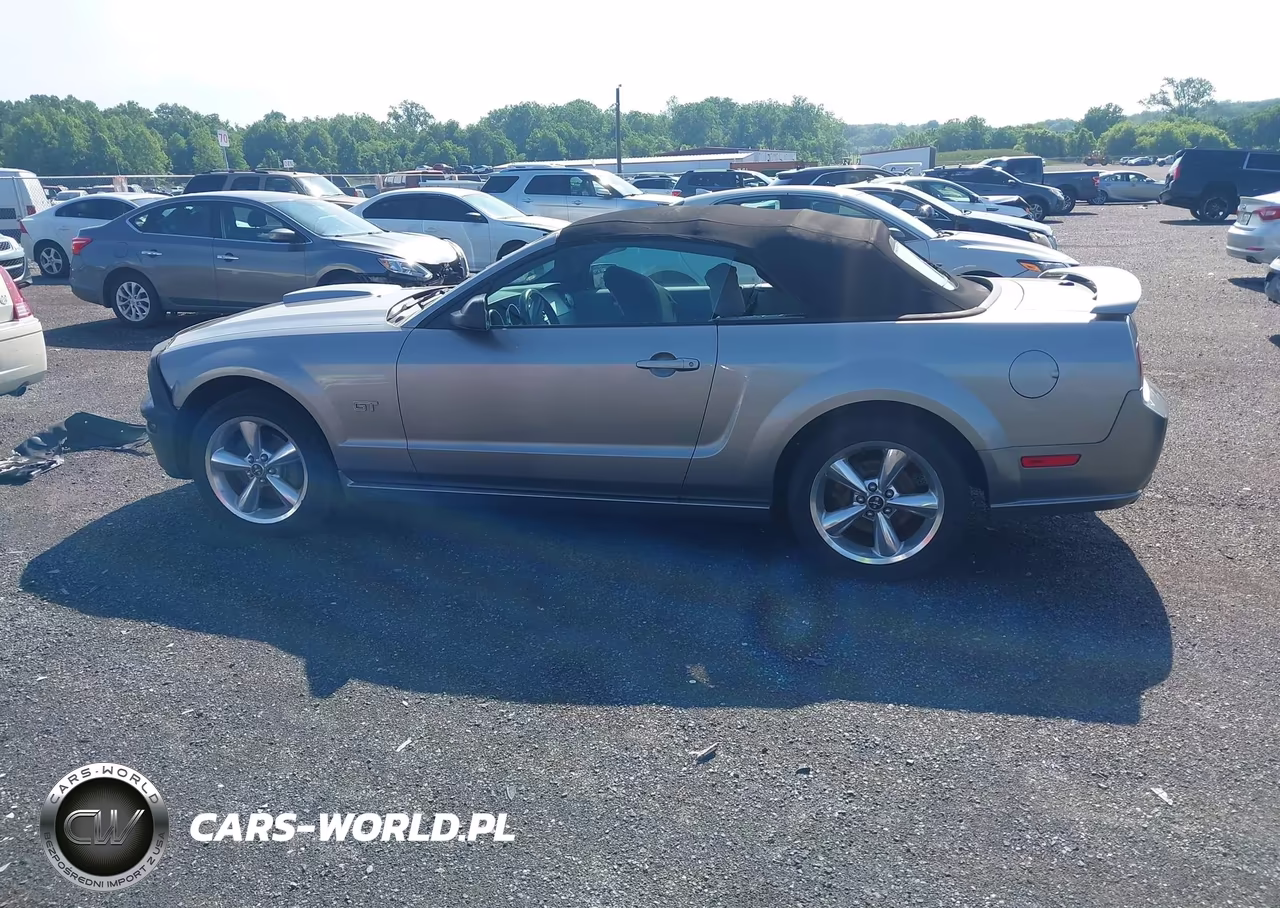 2008 Ford Mustang Gt Deluxe-Gt Premium VIN:1ZVHT85H385170971 - 14