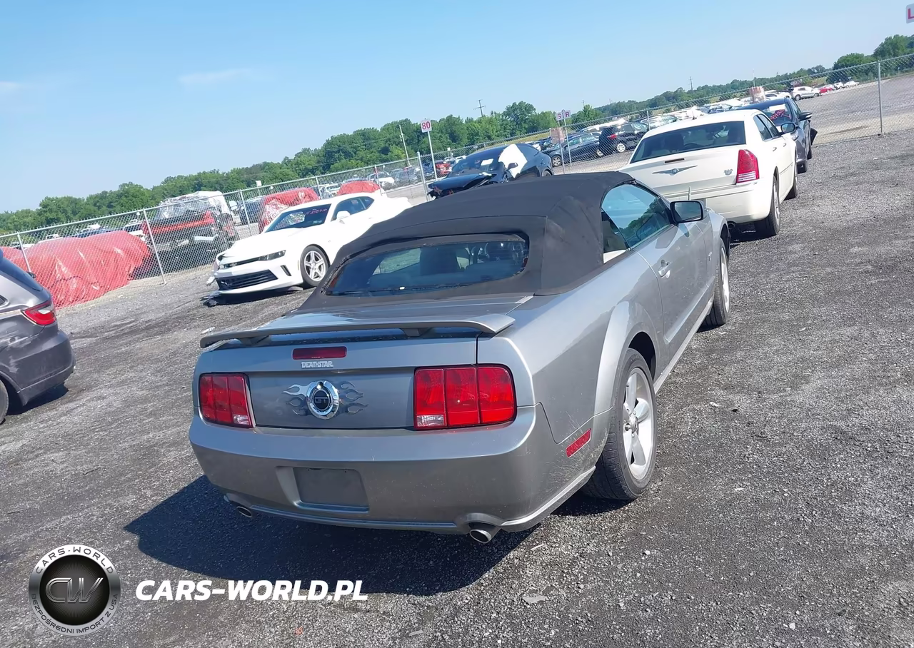 2008 Ford Mustang Gt Deluxe-Gt Premium VIN:1ZVHT85H385170971 - 16