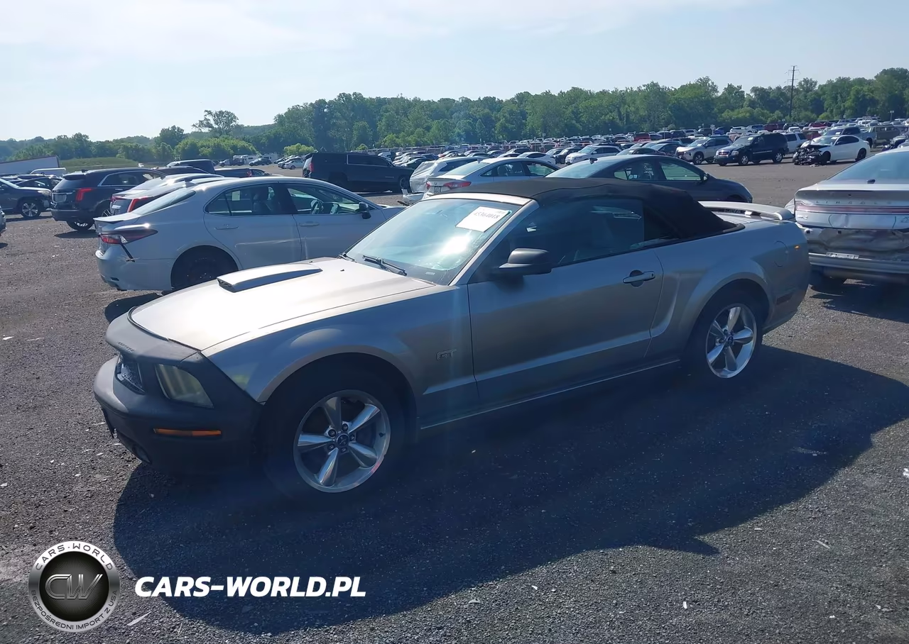 2008 Ford Mustang Gt Deluxe-Gt Premium VIN:1ZVHT85H385170971 - 2