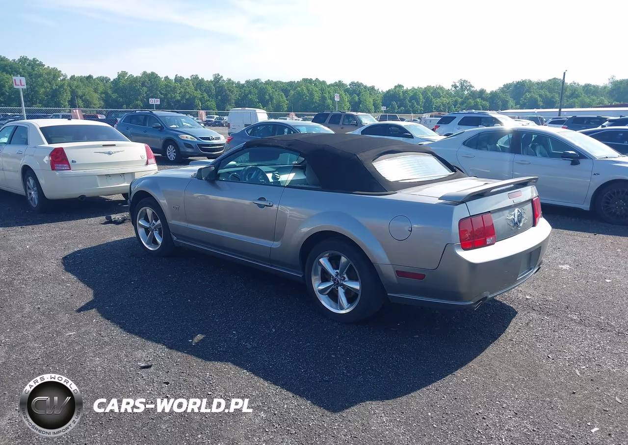 2008 Ford Mustang Gt Deluxe-Gt Premium VIN:1ZVHT85H385170971 - 3