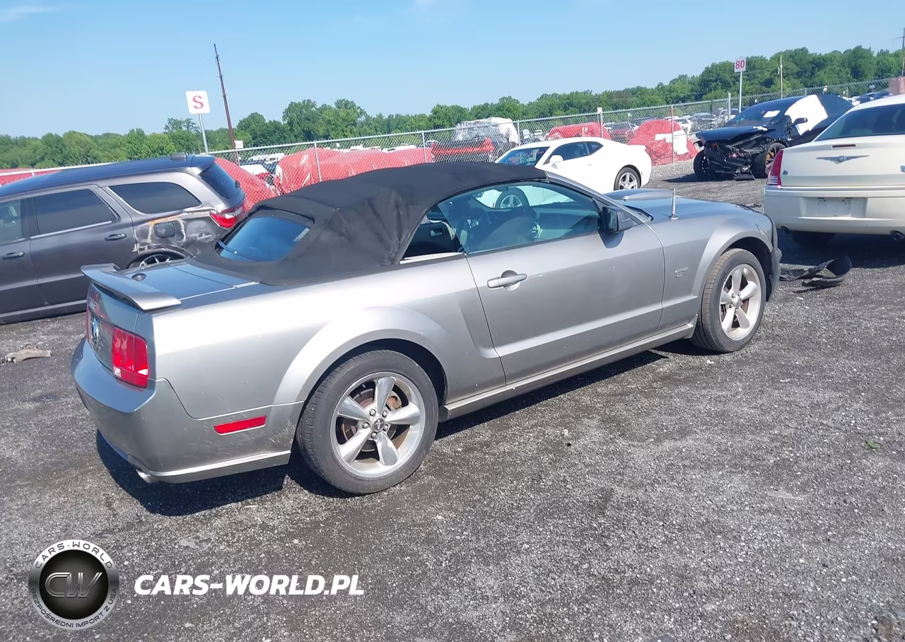 2008 Ford Mustang Gt Deluxe-Gt Premium VIN:1ZVHT85H385170971 - 4