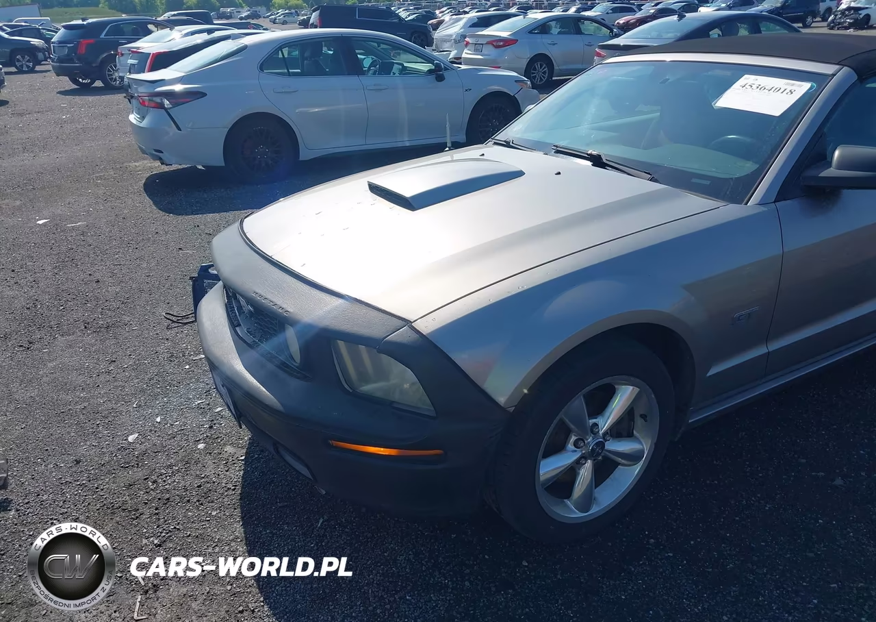 2008 Ford Mustang Gt Deluxe-Gt Premium VIN:1ZVHT85H385170971 - 6
