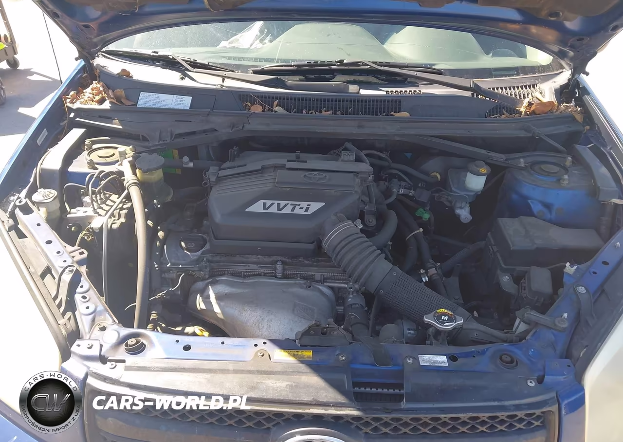 2004 Toyota Rav4 VIN:JTEGD20V240042486 - 10