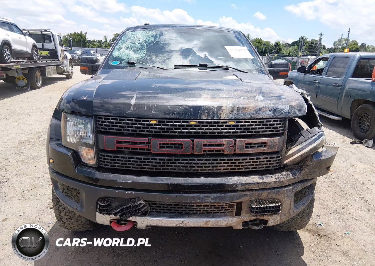 2010 Ford F-150 Svt Raptor VIN:1FTEX1E64AFB77363 - 13