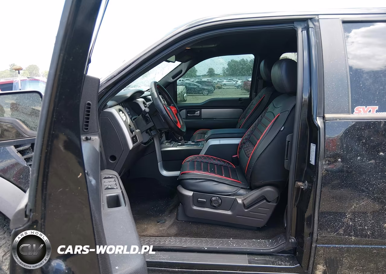 2010 Ford F-150 Svt Raptor VIN:1FTEX1E64AFB77363 - 19