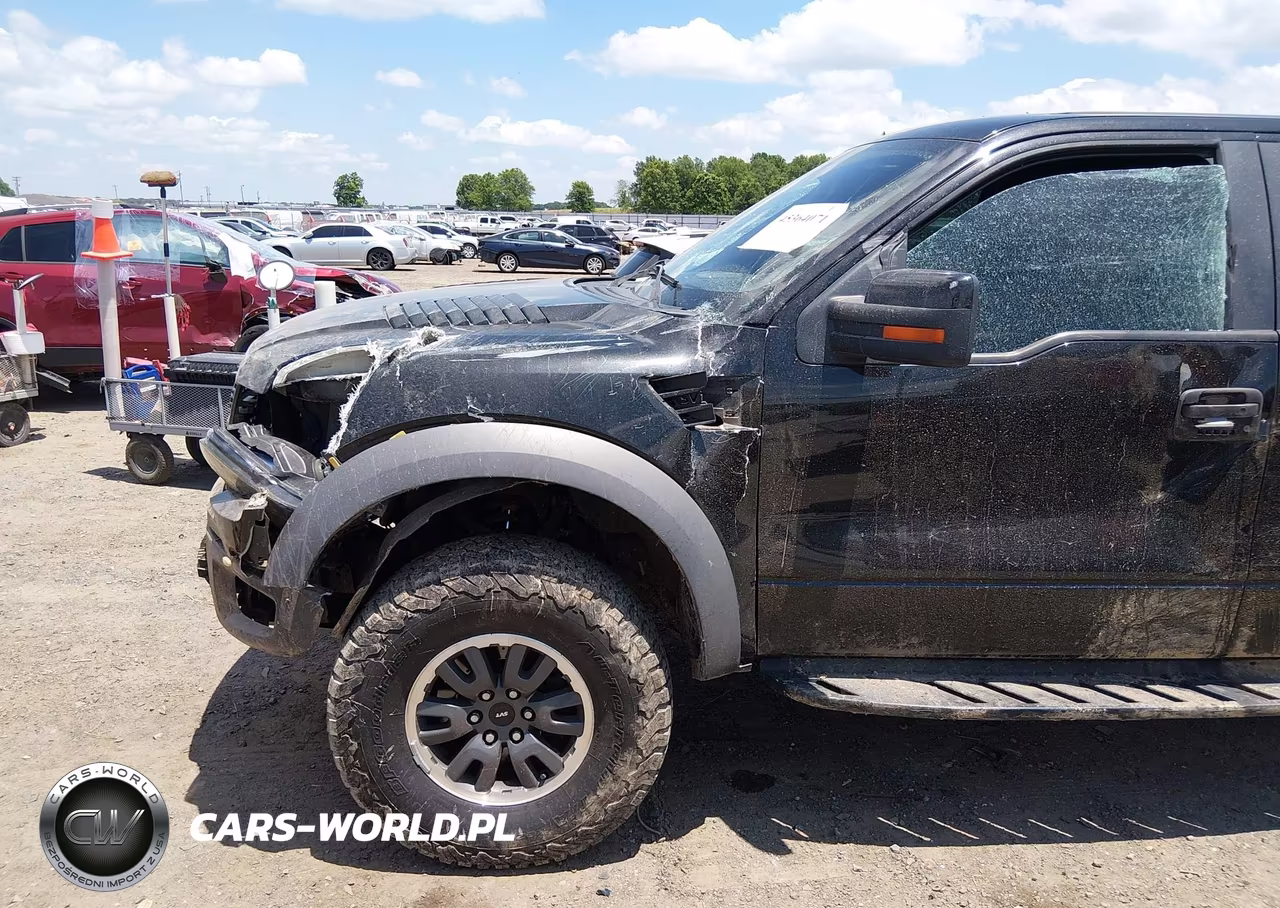 2010 Ford F-150 Svt Raptor VIN:1FTEX1E64AFB77363 - 20