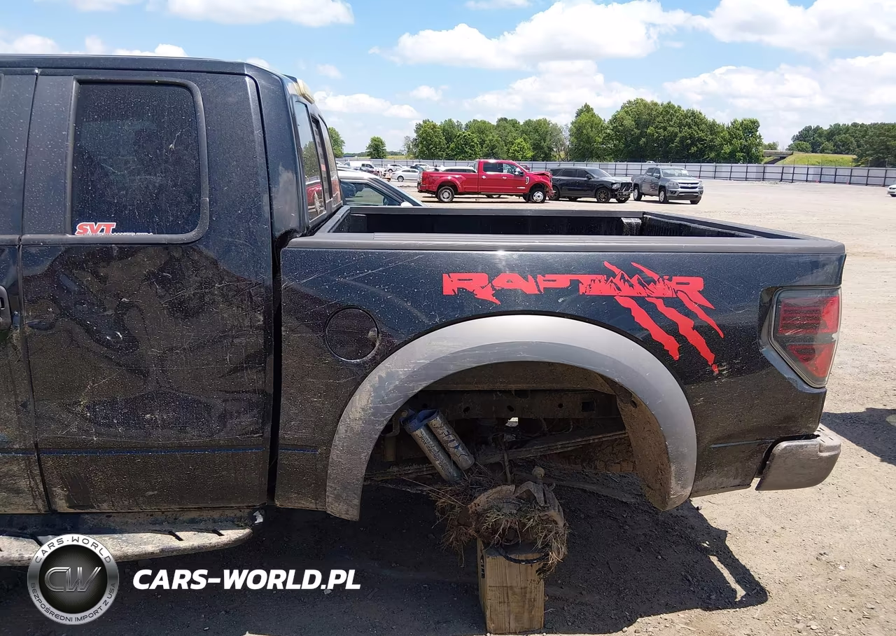 2010 Ford F-150 Svt Raptor VIN:1FTEX1E64AFB77363 - 21