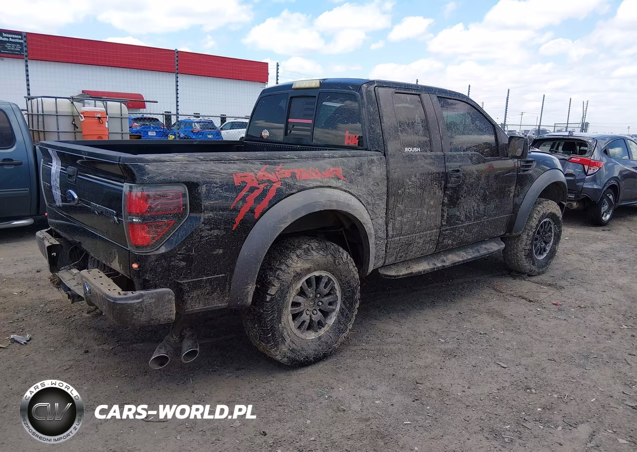 2010 Ford F-150 Svt Raptor VIN:1FTEX1E64AFB77363 - 4