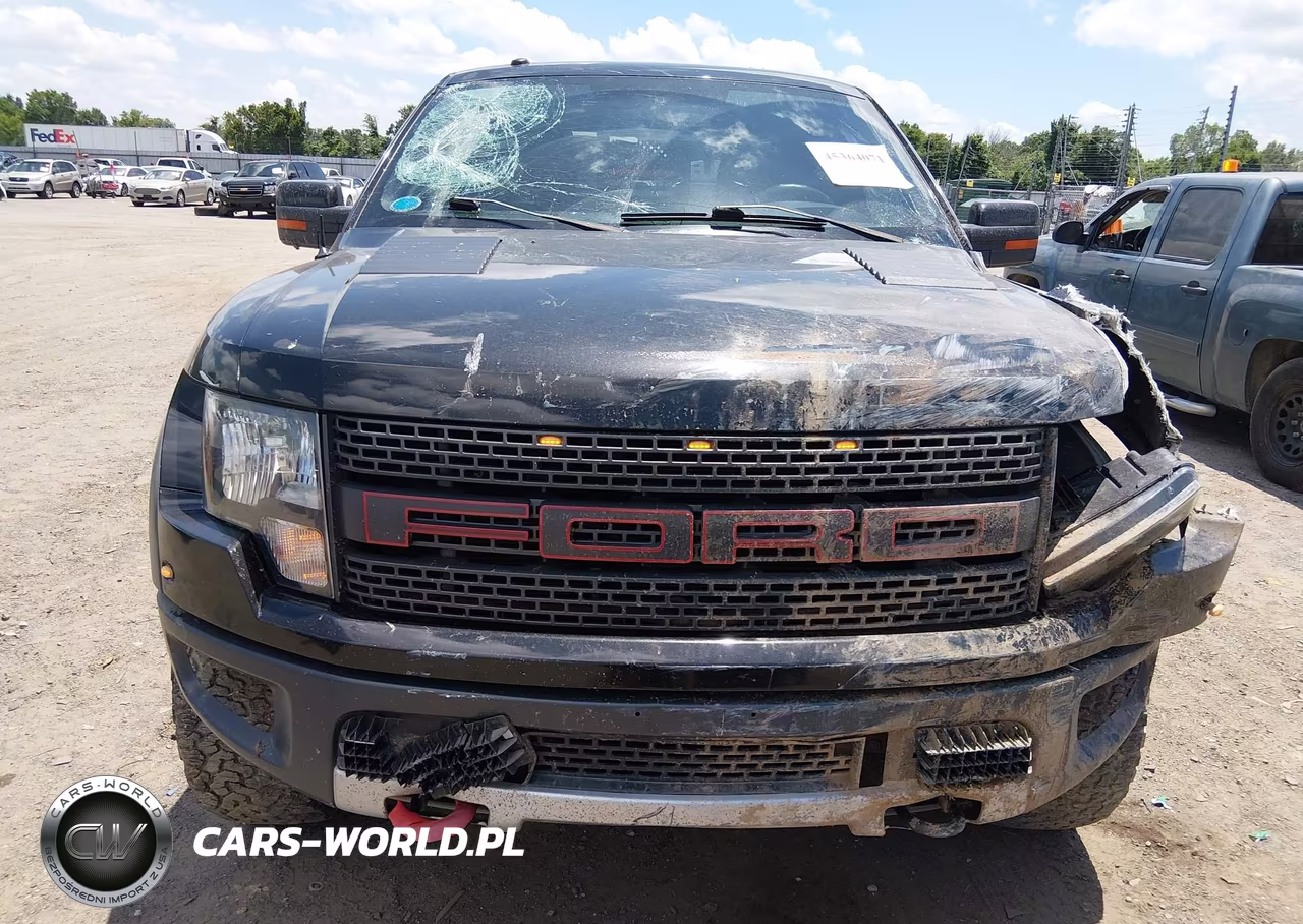 2010 Ford F-150 Svt Raptor VIN:1FTEX1E64AFB77363 - 6