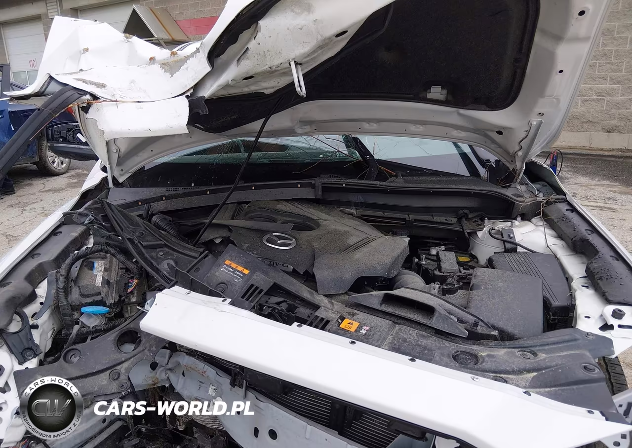 2025 Mazda Cx-5 2.5 Carbon Turbo VIN:JM3KFBAY0S0574180 - 10