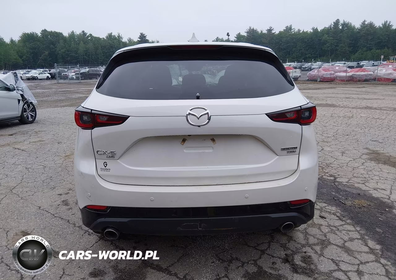2025 Mazda Cx-5 2.5 Carbon Turbo VIN:JM3KFBAY0S0574180 - 16