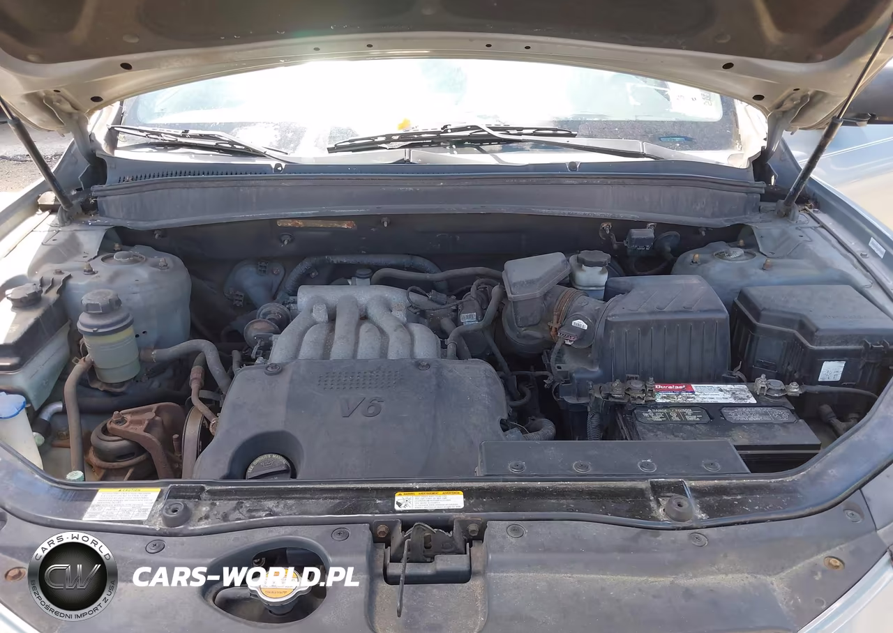2009 Hyundai Santa Fe Gls VIN:5NMSG13D29H297570 - 10