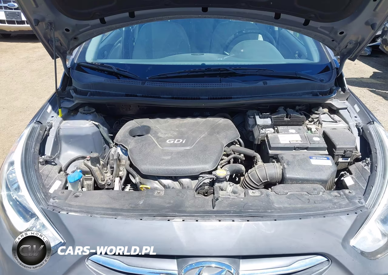 2016 Hyundai Accent Se VIN:KMHCT4AE0GU997618 - 10