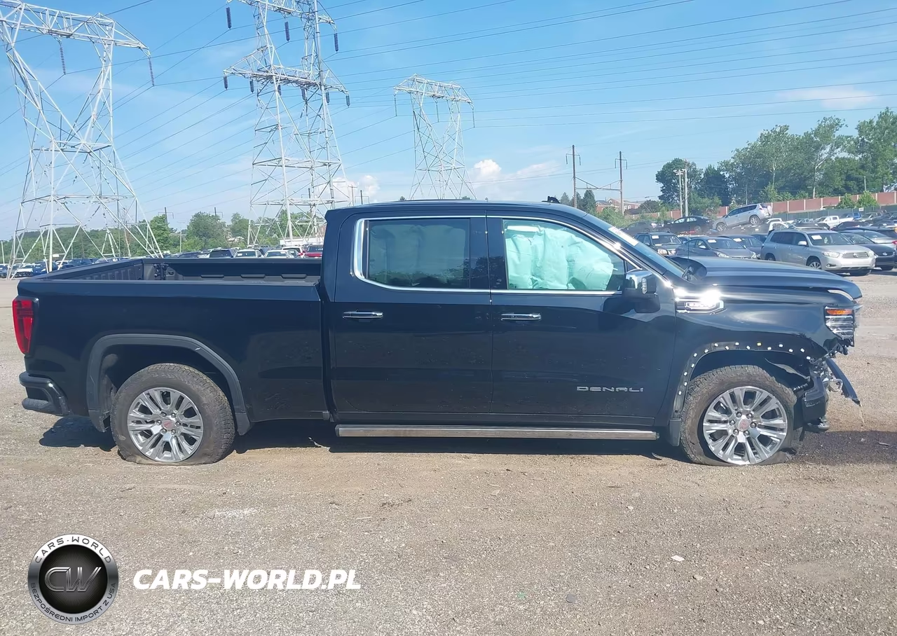 2025 GMC Sierra 1500 4Wd Standard Box Denali VIN:3GTUUGED2SG370472 - 14