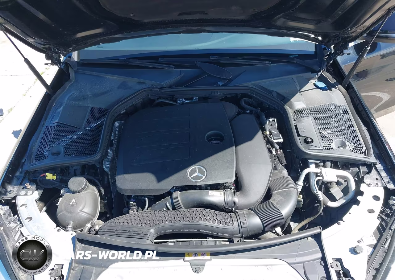 2021 Mercedes-Benz C 300 4Matic VIN:W1KWF8EB4MR646666 - 10