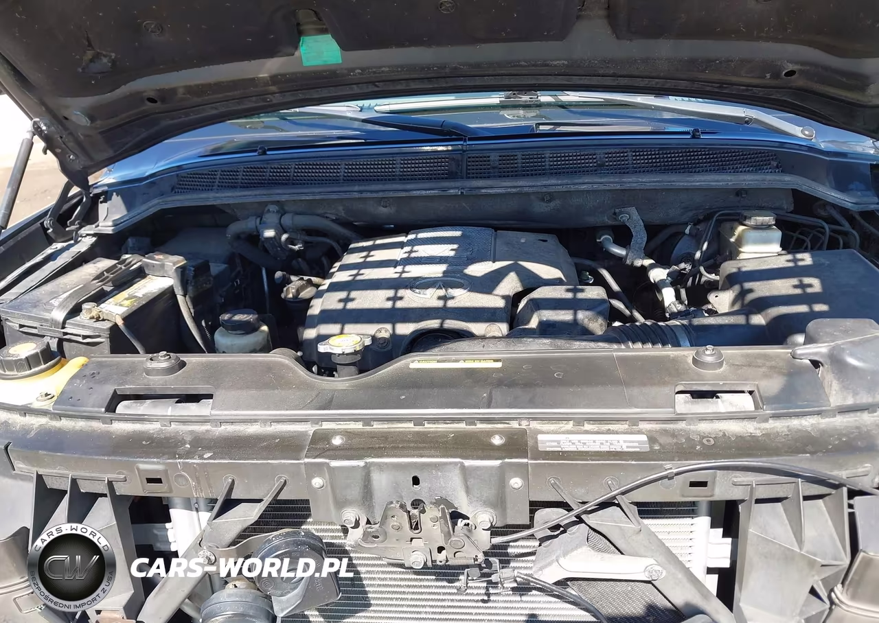 2009 Infiniti Qx56 VIN:5N3AA08C59N904316 - 10