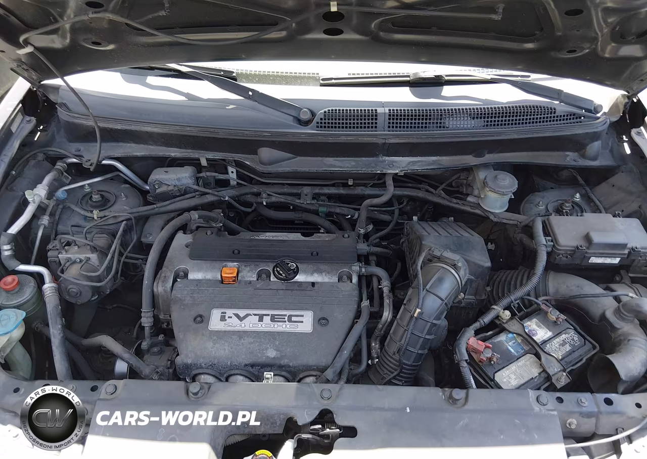 2008 Honda Element Sc VIN:5J6YH18928L000462 - 10