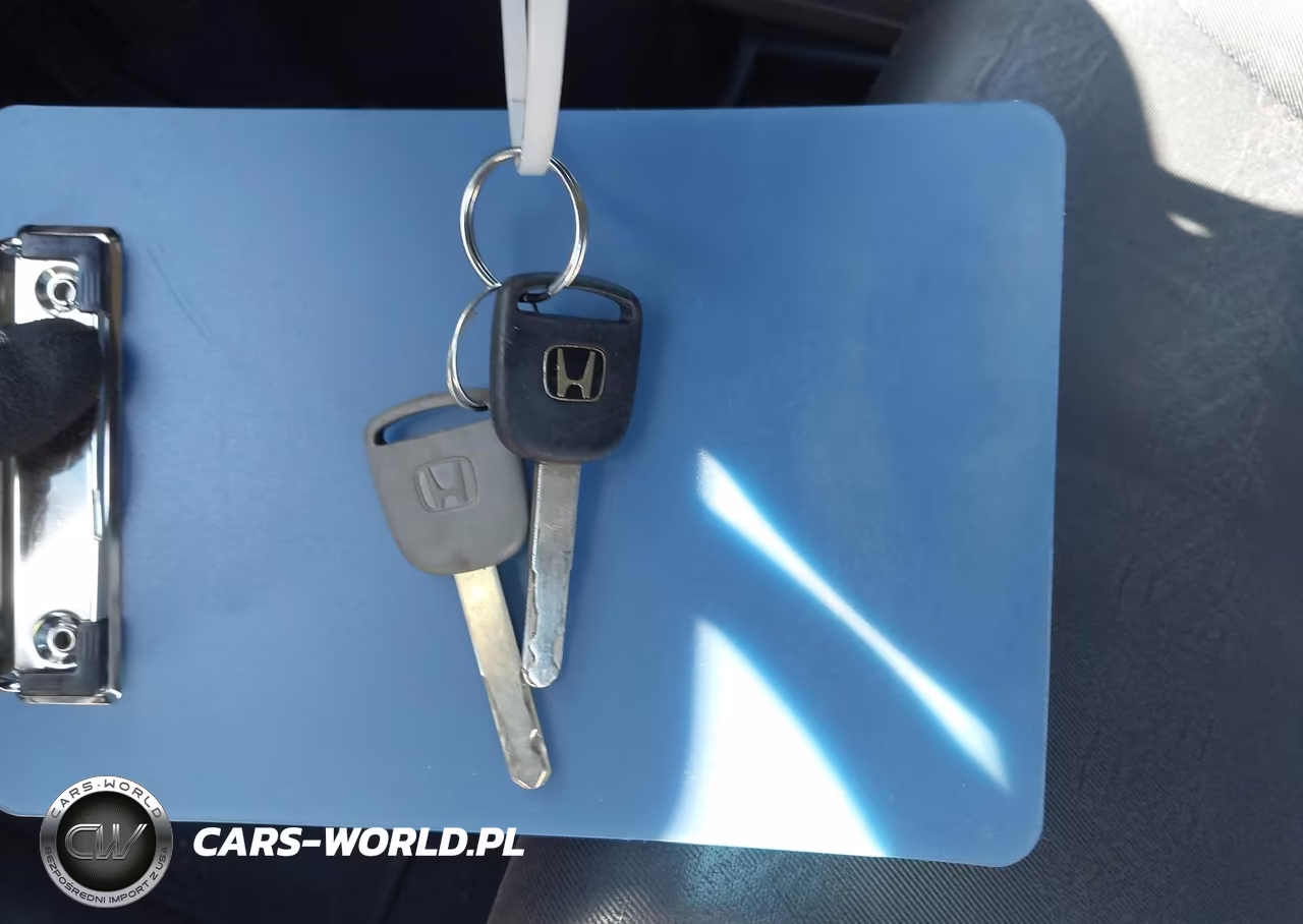 2008 Honda Element Sc VIN:5J6YH18928L000462 - 11
