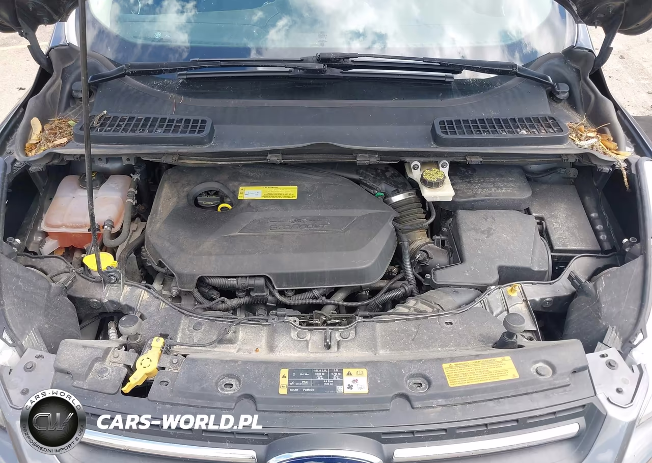 2014 Ford Escape Se VIN:1FMCU0GX4EUB70040 - 10
