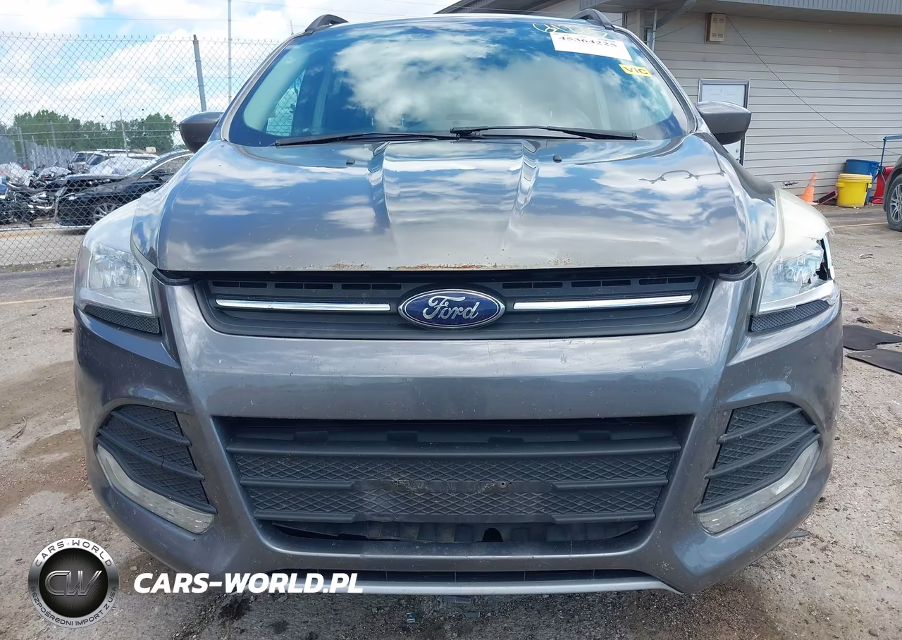 2014 Ford Escape Se VIN:1FMCU0GX4EUB70040 - 12