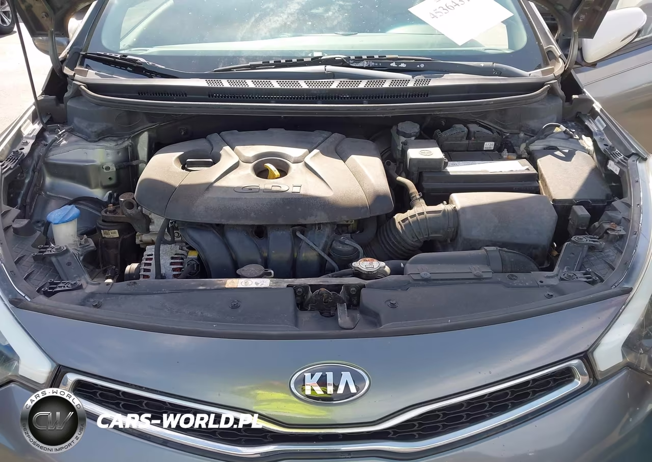 2014 Kia Forte Koup Ex VIN:KNAFX6A88E5202850 - 10