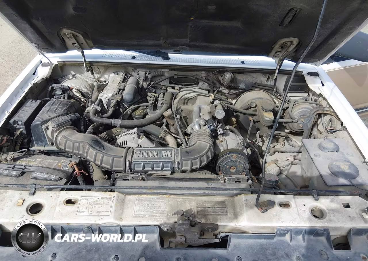 1991 Ford Explorer VIN:1FMDU34X1MUD80653 - 10