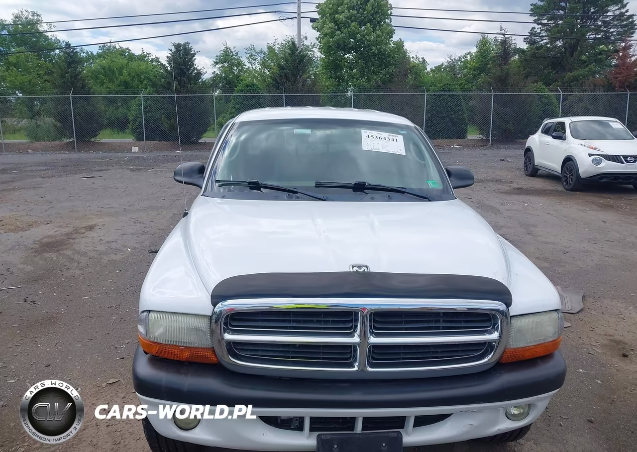 2004 Dodge Dakota Sport-Sxt VIN:1D7HG38N14S608576 - 13