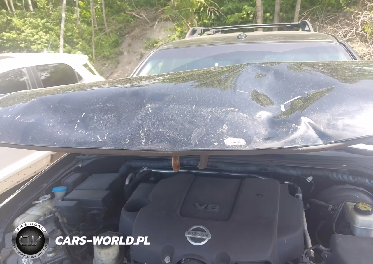2008 Nissan Pathfinder Le V8 VIN:5N1BR18B78C619646 - 6