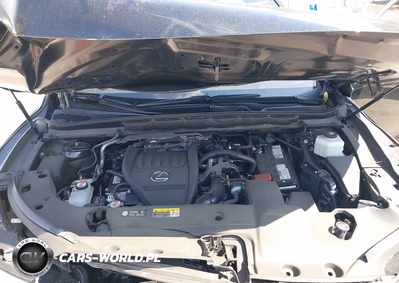 2023 Lexus Rx 350 F Sport Handling VIN:2T2BAMCA8PC035561 - 10