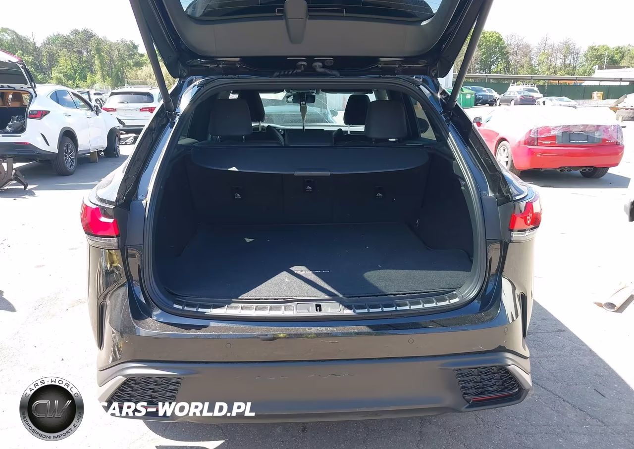 2023 Lexus Rx 350 F Sport Handling VIN:2T2BAMCA8PC035561 - 18
