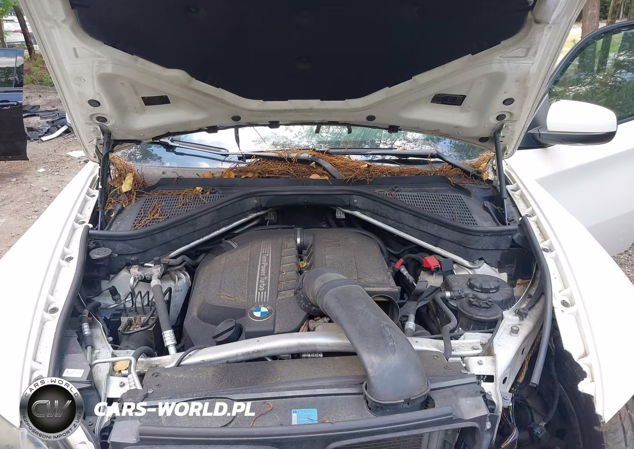 2011 BMW X6 xDrive35I VIN:5UXFG2C54BLX08681 - 10