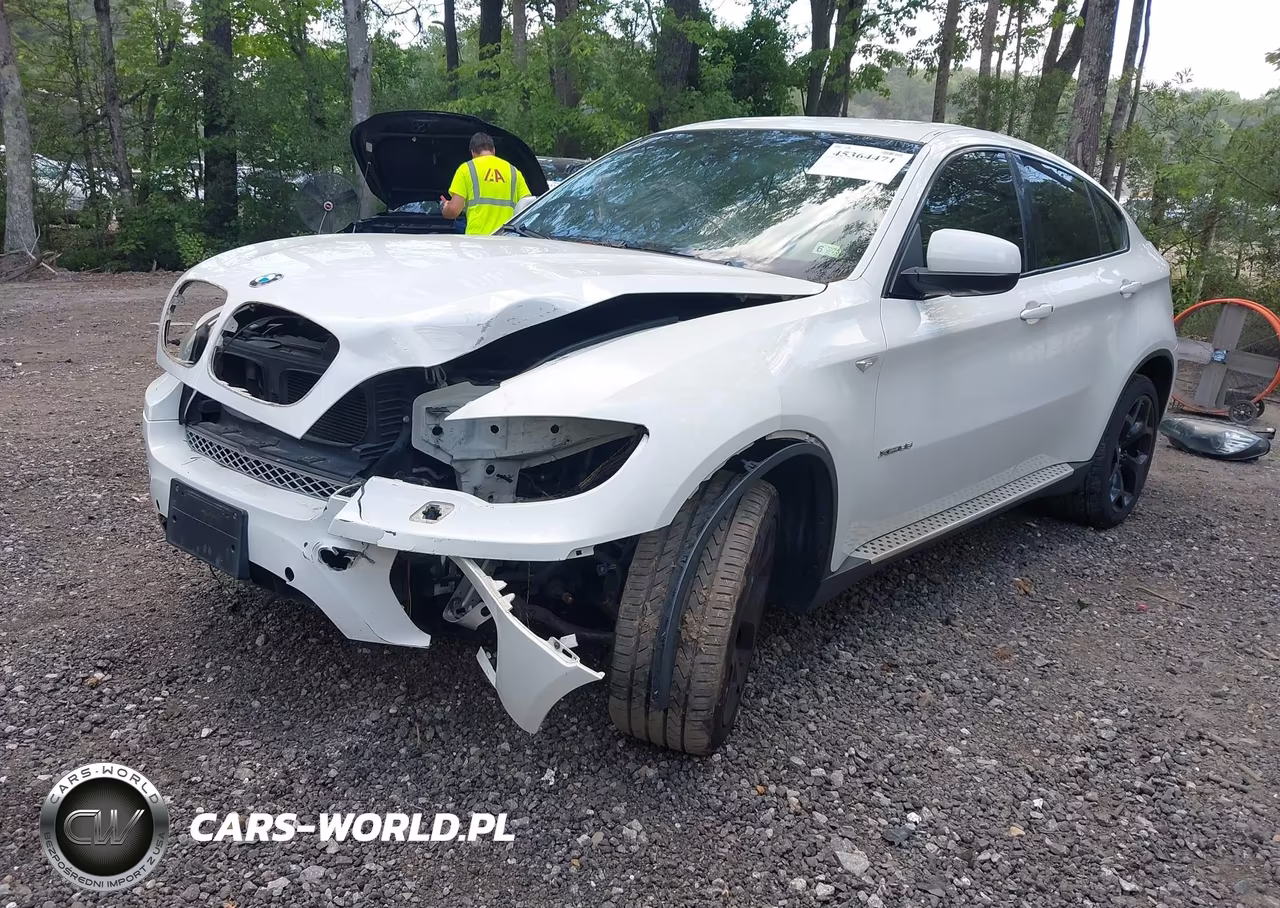 2011 BMW X6 xDrive35I VIN:5UXFG2C54BLX08681 - 2