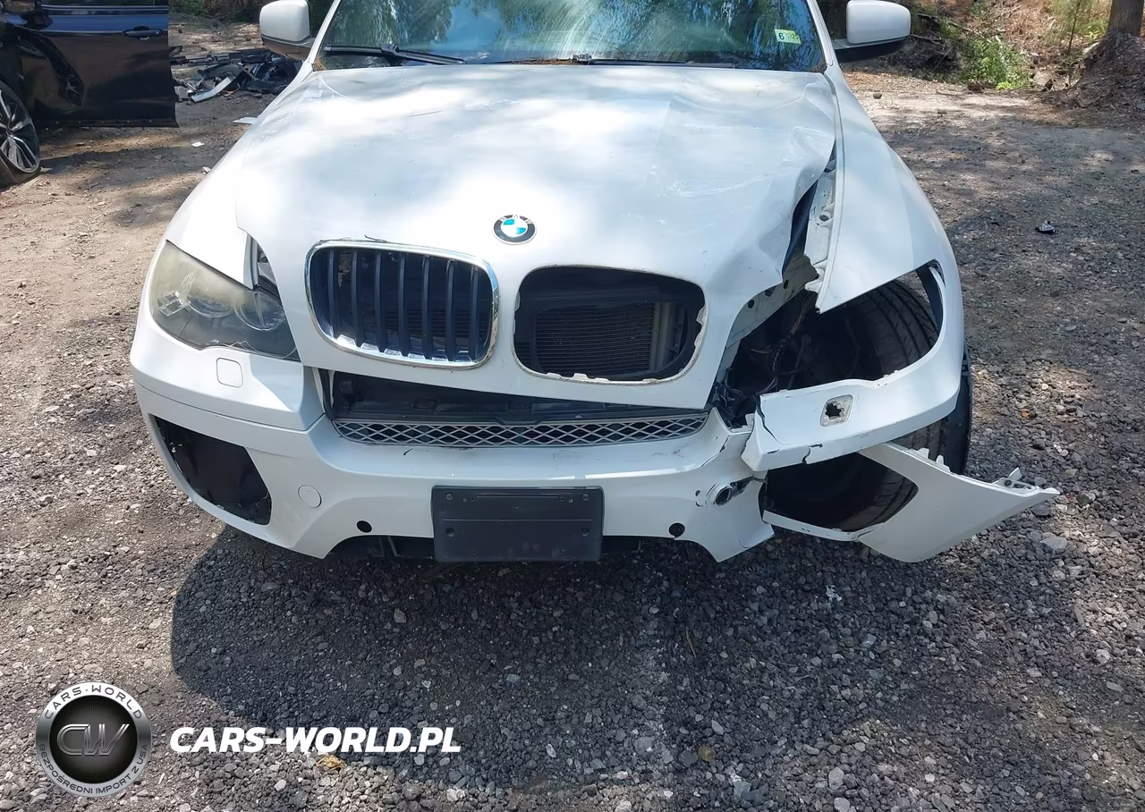 2011 BMW X6 xDrive35I VIN:5UXFG2C54BLX08681 - 6