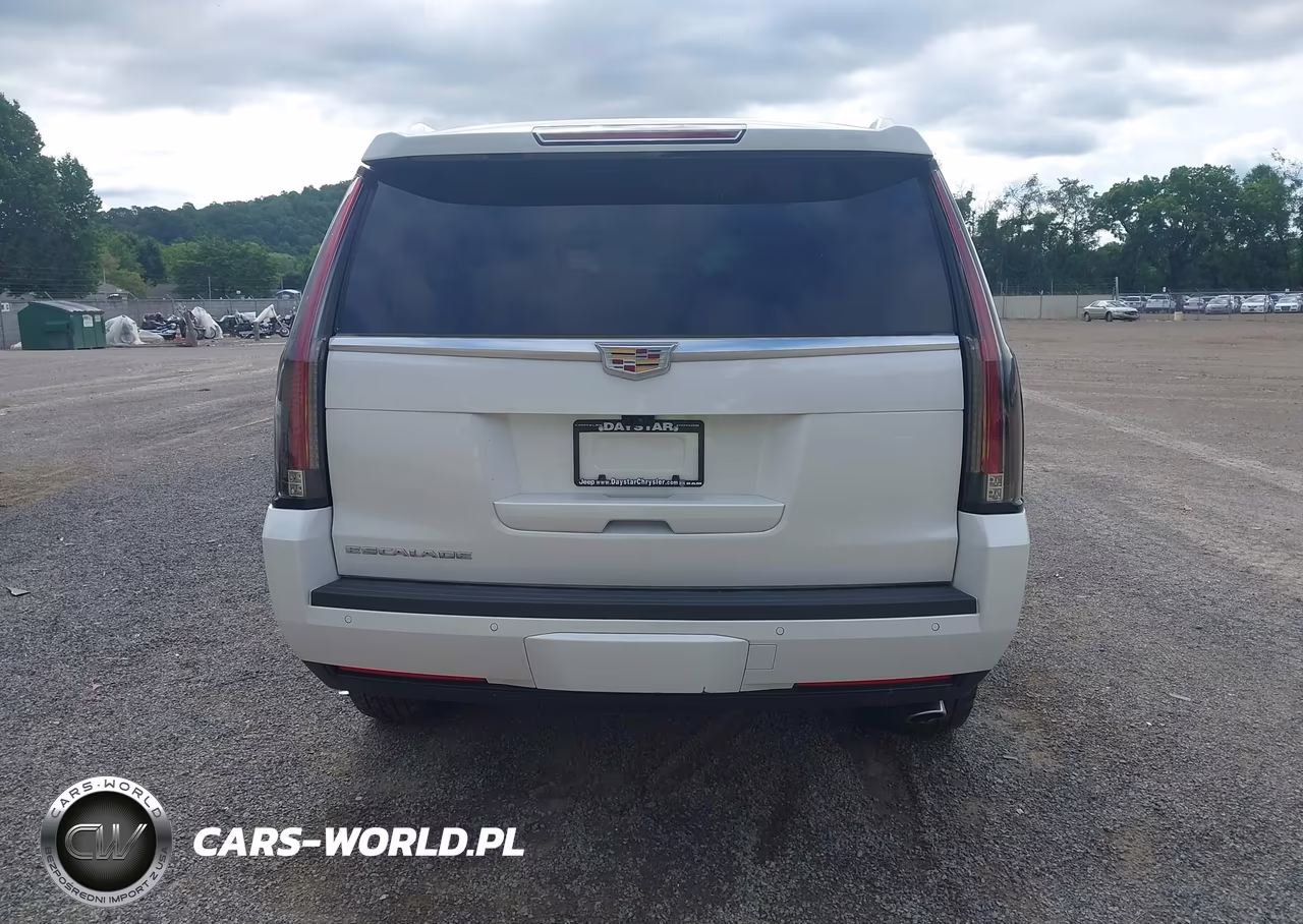 2020 Cadillac Escalade 4Wd Luxury VIN:1GYS4BKJ7LR129748 - 16