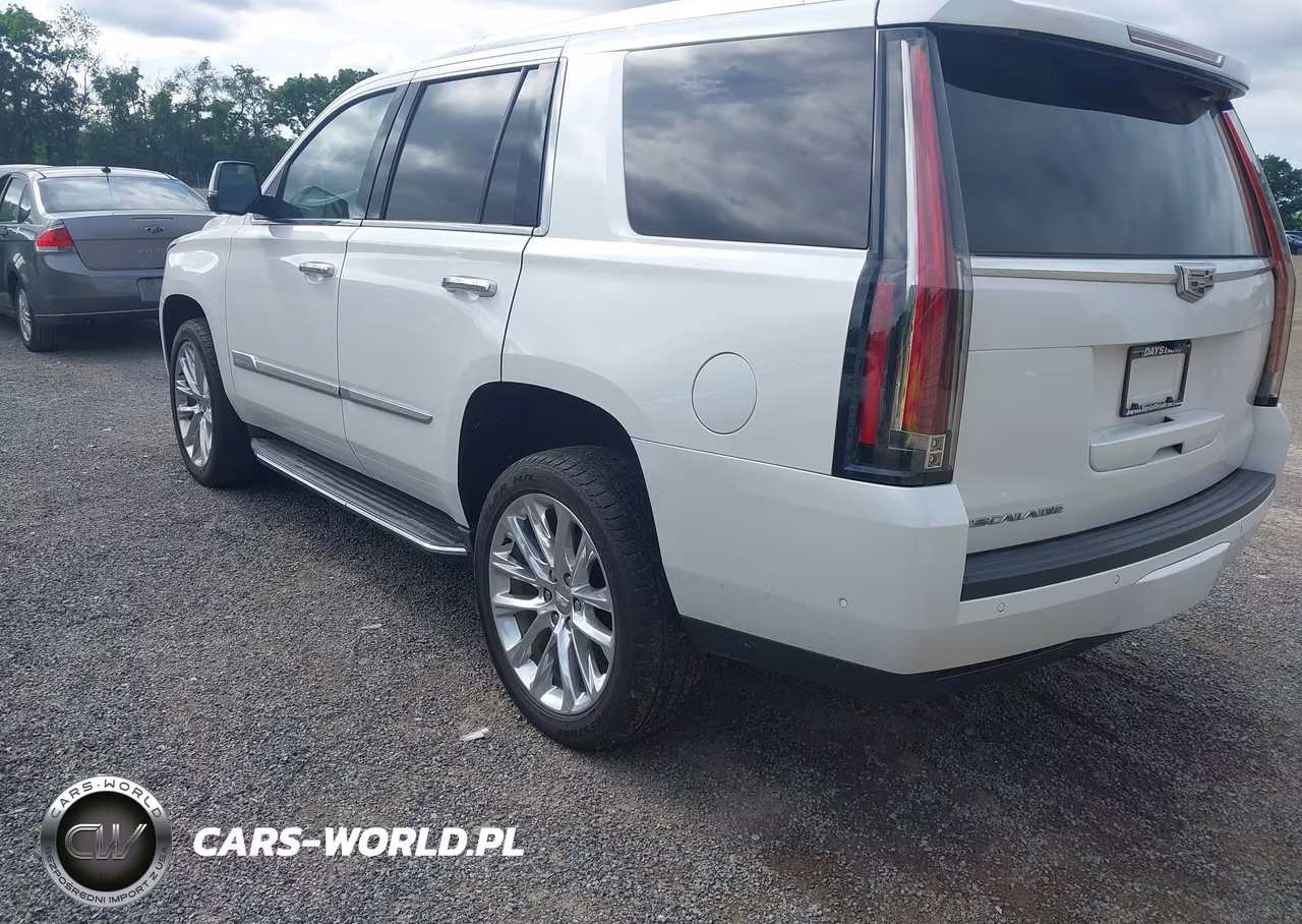 2020 Cadillac Escalade 4Wd Luxury VIN:1GYS4BKJ7LR129748 - 3