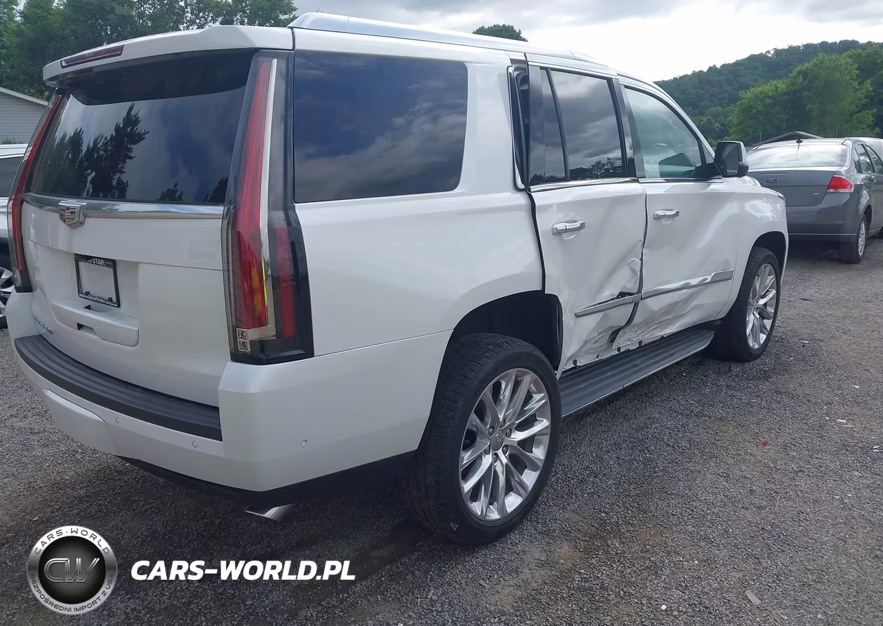 2020 Cadillac Escalade 4Wd Luxury VIN:1GYS4BKJ7LR129748 - 4
