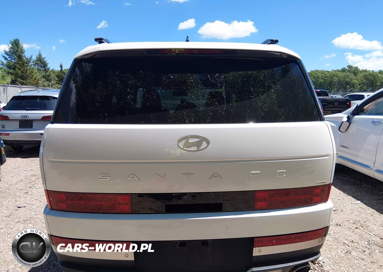 2024 Hyundai Santa Fe Limited VIN:5NMP4DGL4RH009937 - 17