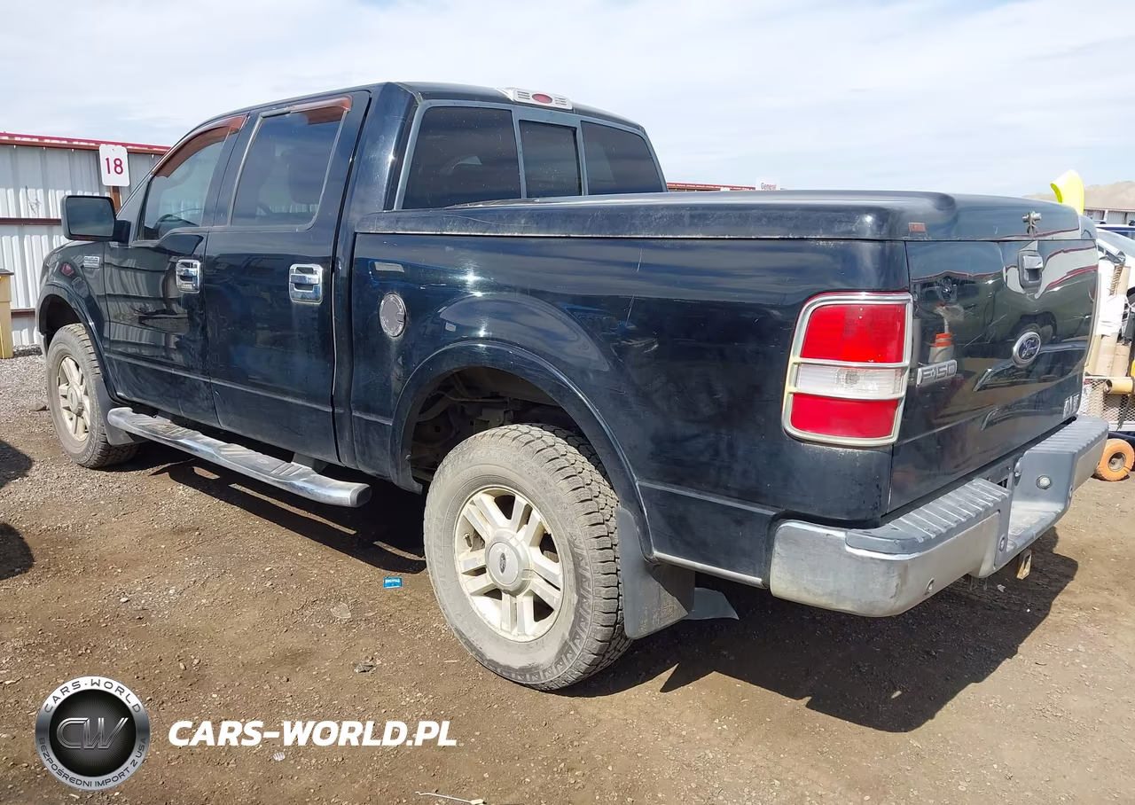 2004 Ford F-150 Fx4-Lariat-Xlt VIN:1FTPW14564KD30051 - 3