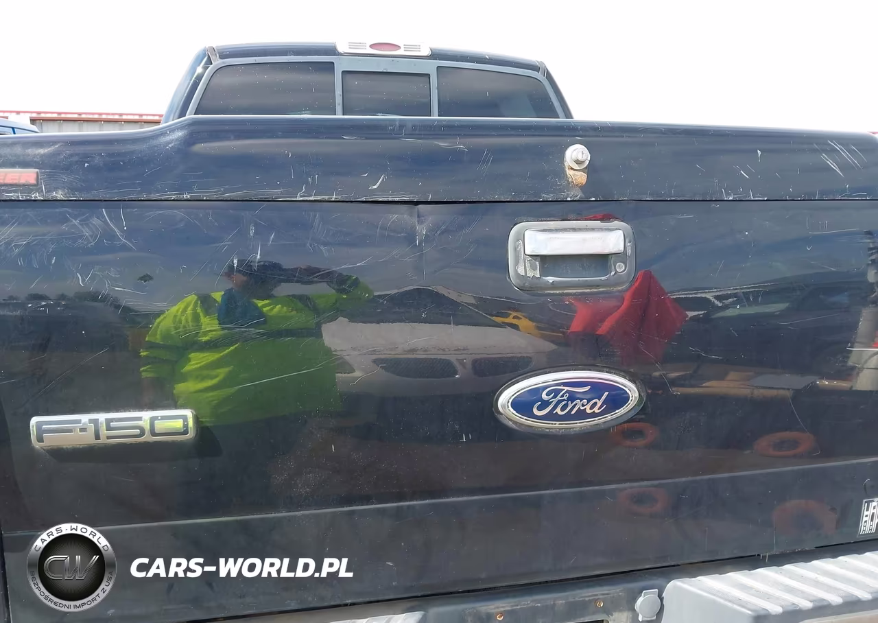 2004 Ford F-150 Fx4-Lariat-Xlt VIN:1FTPW14564KD30051 - 6