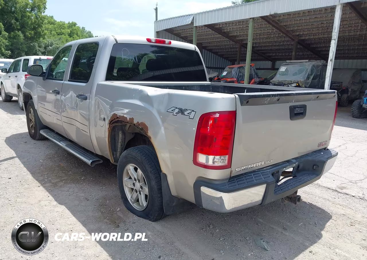 2009 GMC Sierra 1500 Sl-Work Truck VIN:3GTEK13C19G141132 - 3
