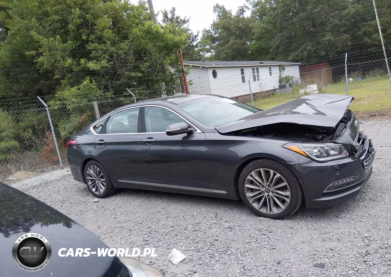 2017 Genesis G80 3.8 VIN:KMHGN4JE7HU193166 - 14