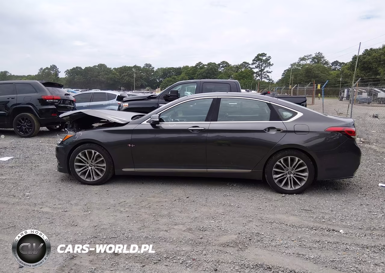 2017 Genesis G80 3.8 VIN:KMHGN4JE7HU193166 - 15