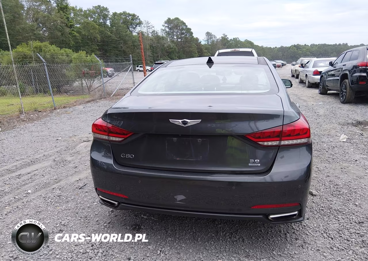 2017 Genesis G80 3.8 VIN:KMHGN4JE7HU193166 - 17