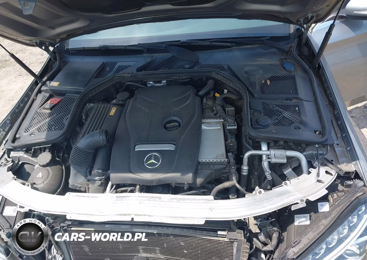 2015 Mercedes-Benz C 300 VIN:55SWF4JB4FU083246 - 10